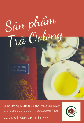 banner blog loc tan cuong vn 8