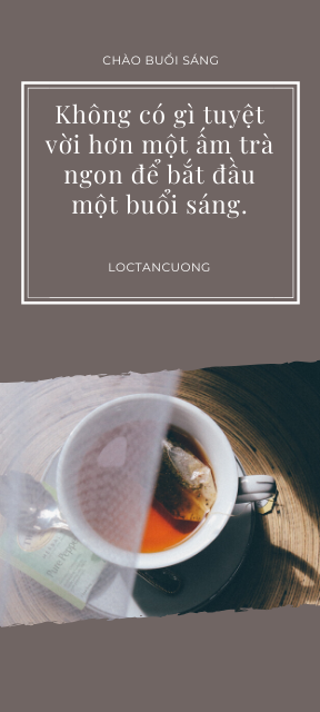 banner blog loc tan cuong vn