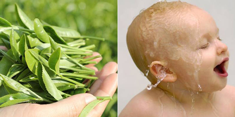 Dùng nước trà xanh để tắm cho trẻ em giúp ngăn ngừa rôm sảy và các vấn đề về da hiệu quả