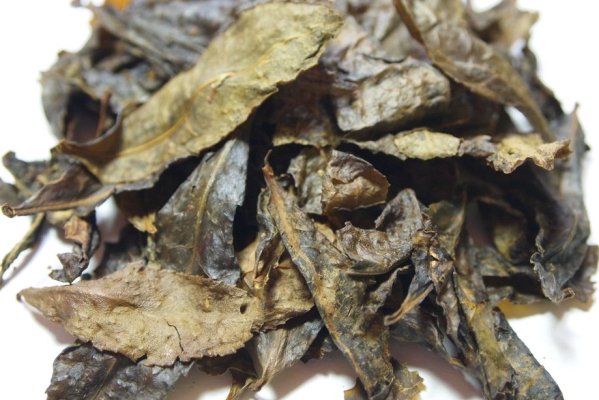 Trà bancha được làm từ lá trà già trên cây trà shan tuyết cổ thụ lâu năm