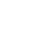 icon leaf 2