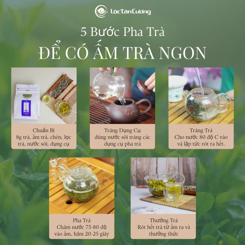 Trà Shan Tuyết Tà Xùa - Hình ảnh 5