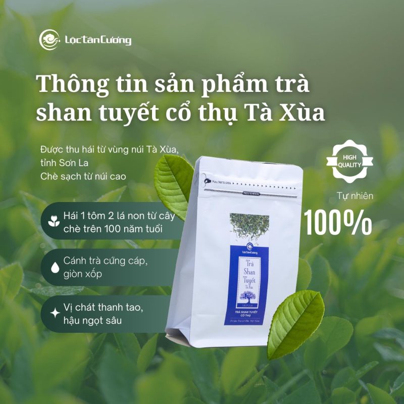 Trà Shan Tuyết Tà Xùa - Hình ảnh 2